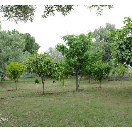 Il Giardino Di Rosy Villa Su Forti Bagian luar foto
