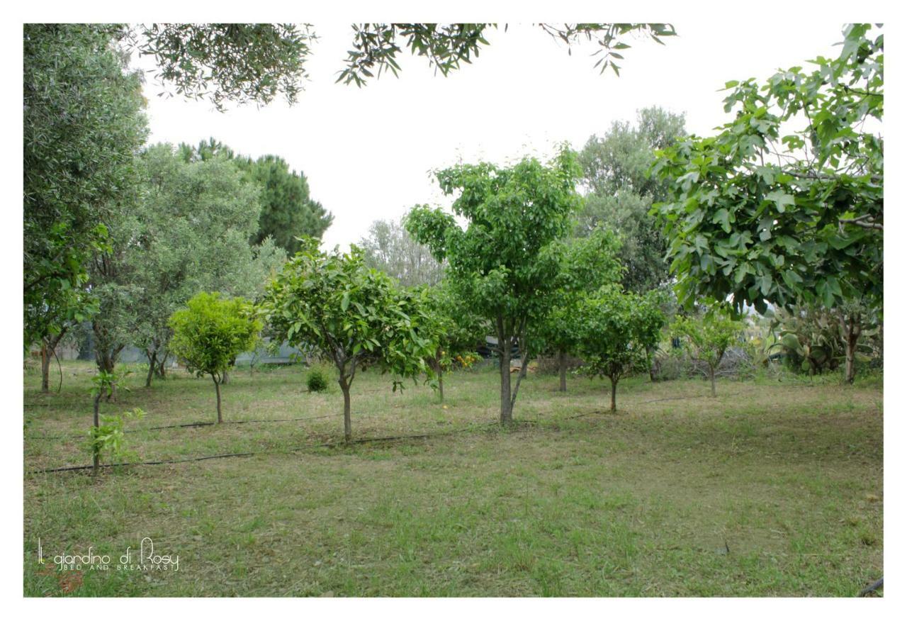 Il Giardino Di Rosy Villa Su Forti Bagian luar foto